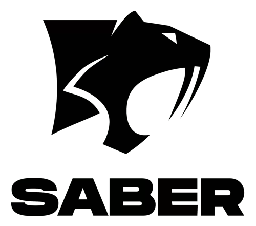 Saber Interactive